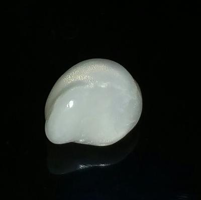 Natural Clam Pearls For Sale