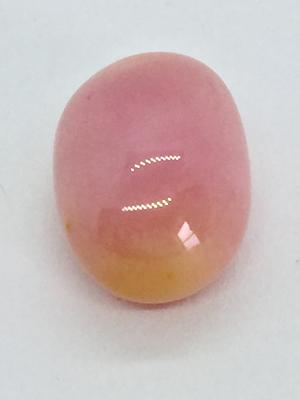 10ct Pink Flame Conch Natural Pearl for Sale