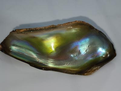 abalone pearl