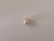 Saltwater natural Pearl