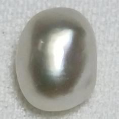 Natural Persian Gulf Pearl