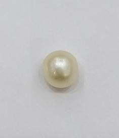 Catalog Natural Arabian Gulf Pearls (Basra Pearls) for sale