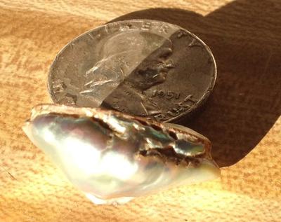 Abalone Pearl 45 carats for Sale