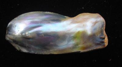 Пион abalone pearl фото и описание