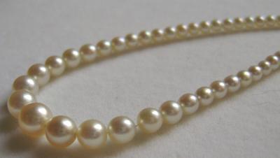 saltwater pearl necklace