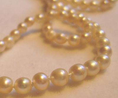 saltwater pearl edwardian necklace antique natural