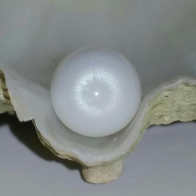 giant pearl for sale