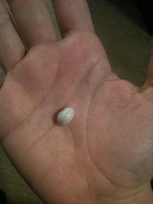 I believe I found a pearl in an oyster I was eating