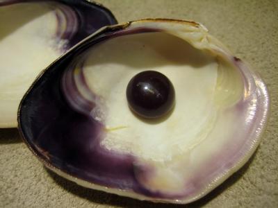 are there pearls in clams