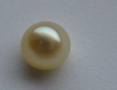 Natural Persian Gulf Pearl