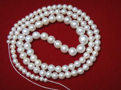 Natural Persian Gulf Pearl Necklace