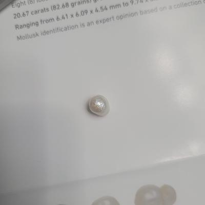 Saltwater natural Pearl