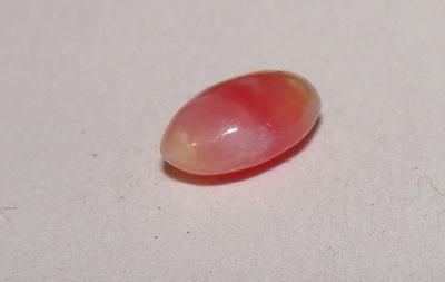 Oval Pink Conch Pearl 7mm