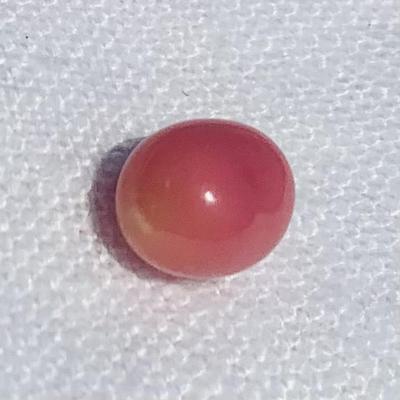Pink Conch Pearl 4+ carats Oval