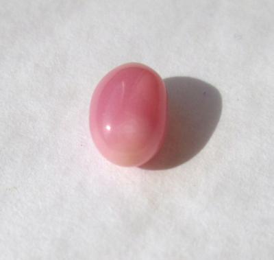 Pink Long Oval Pink Conch Pearl 2 carat