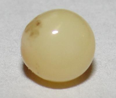 Rare conch pearl 1 carat