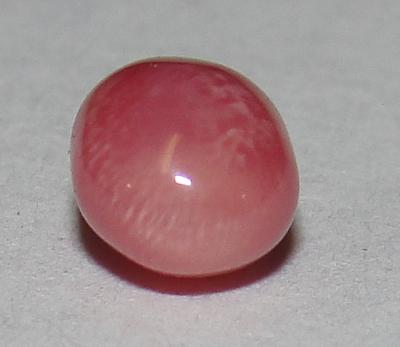 Rare oval conch pearl