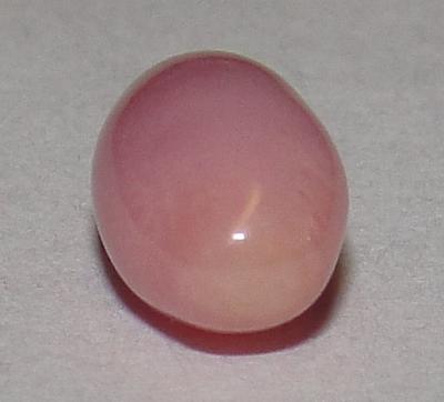 Rare Pink Conch Pearl