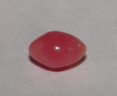 Red Conch Pearl Oval 6mm for Sale