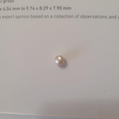 Saltwater natural Pearl