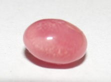Rare oval conch pearl
