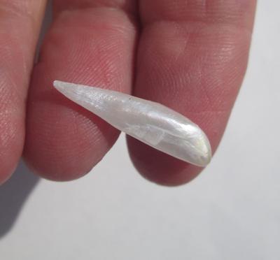 USA Natural Spike Freshwater 2+ carat Pearl 23mm