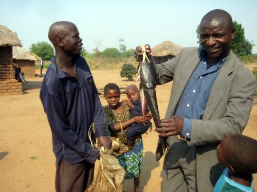 Malawi Fish