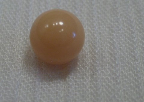 Conch Pearl Round