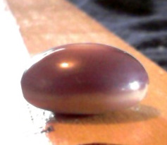 Quahog Pearl Ring